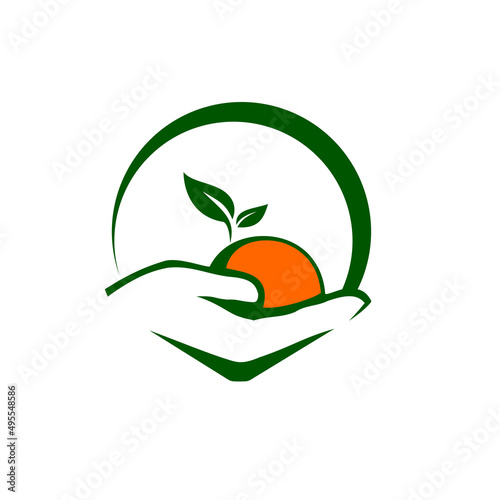 Orange fruit agricultural logo design Vector icon illustration design