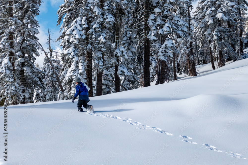 Boy hiking through deep snow in Sierras after a snowstorm with clear blue skys and snow on trees