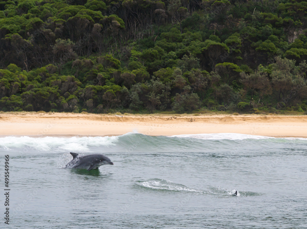 Fototapeta premium Just Past The Surf