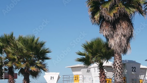 Lifeguard stand and palm tree, life guard tower for surfing on California beach. Summer pacific ocean in USA. Rescue station, coast lifesaver wachtower hut or house by sea. Seamless looped cinemagraph