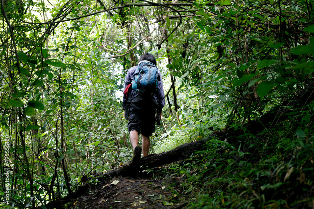 rear view of man walking on forest with backpacks rear view of man walking on forest with backpacks