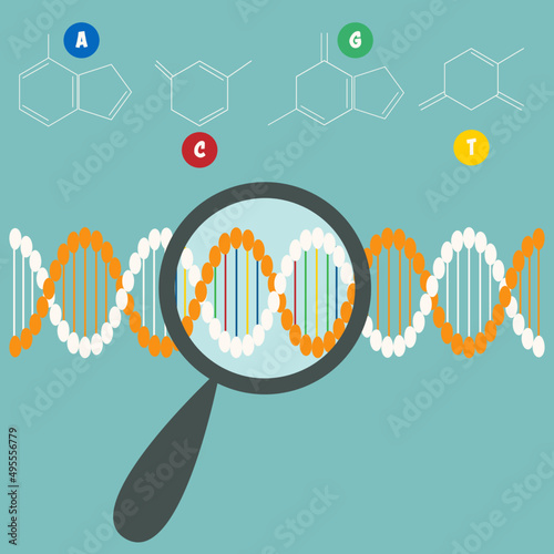 Searching for the DNA sequence