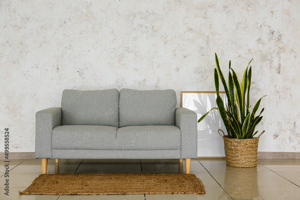 Interior of modern living room with stylish sofa and houseplant Interior of modern living room with stylish sofa and houseplant