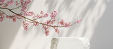 Cosmetic background. nature light stone podium and cherry blossom white background. for branding and product presentation. 3d rendering illustration.