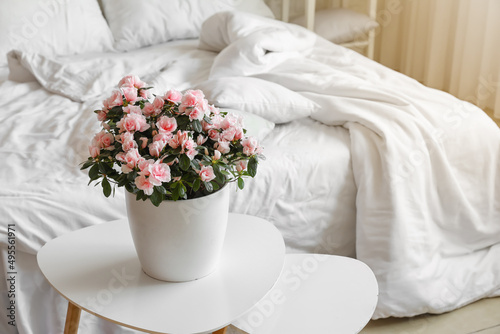 Beautiful begonia flowers on table near bed photo
