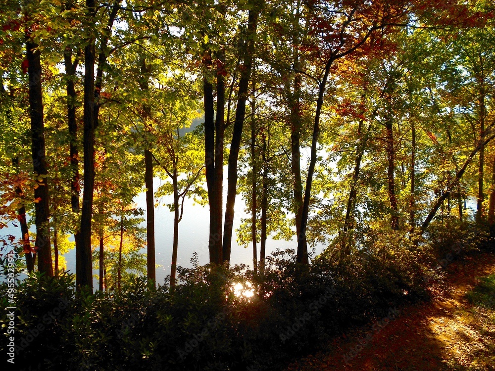 Obraz premium Stone Mountain Strolls