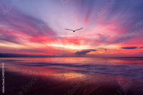 Ocean Sunset Landscape Inspiration Bird