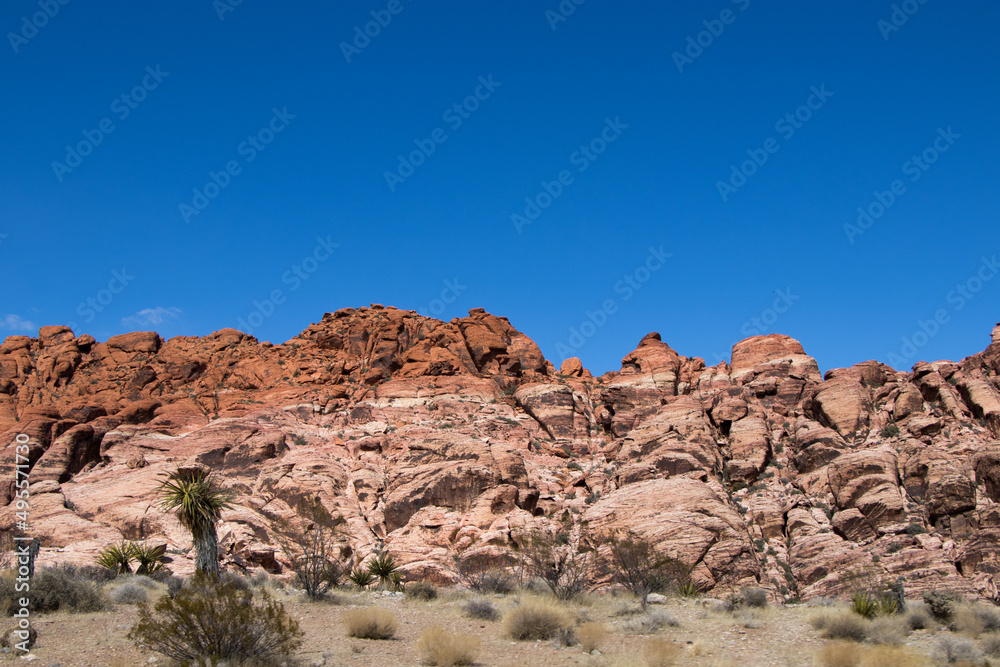 Red Rock Views