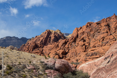 Red Rock Views