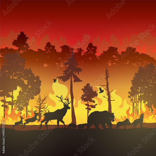 Wildfire silhouettes background  Forest fire vector