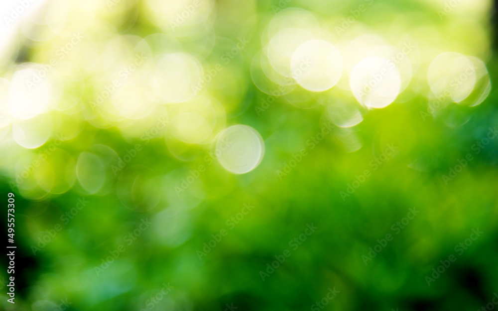 Obraz premium Natural green background