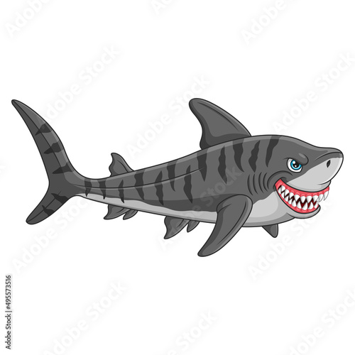 Cartoon tiger shark on white background