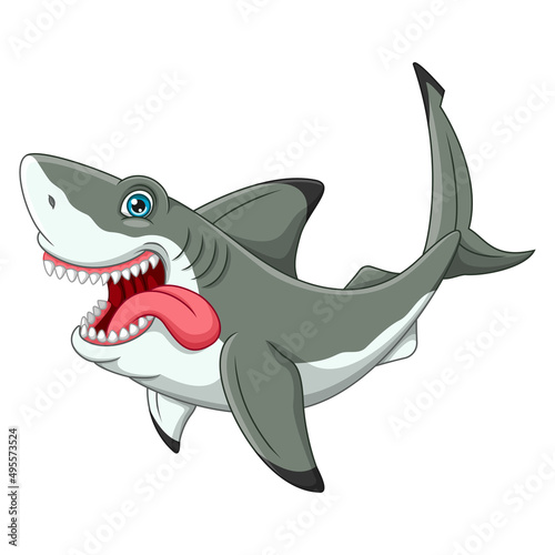 Cartoon shark isolated on white background
