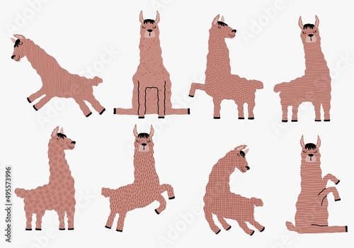 Set of cute white llama animal in different postures.