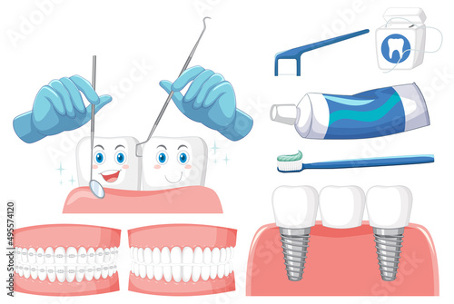Set of all types of teeth on white background