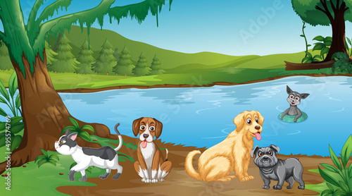 Set of different domestic animals in forest