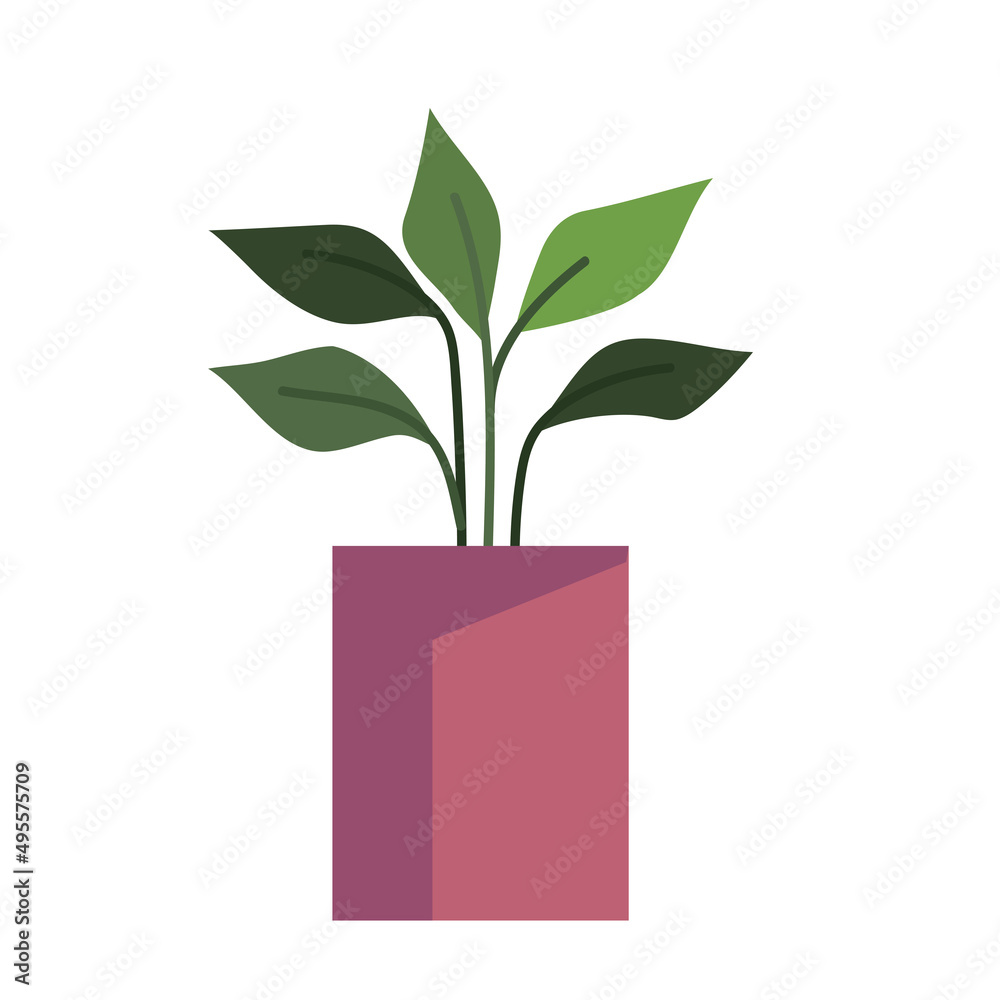 orange pot with houseplant orange pot with houseplant