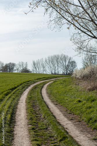 country road in spring