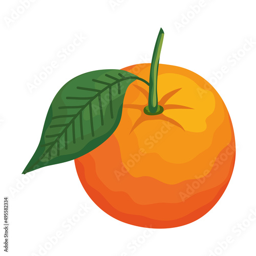 orange fresh fruit