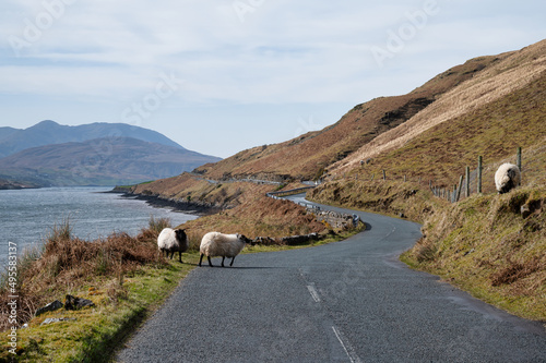 Ireland Wild Atlantic Way