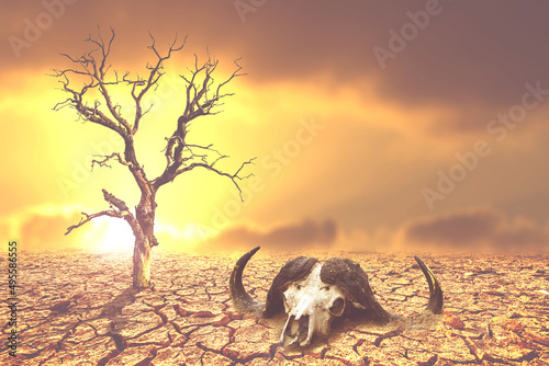 The concept of drought, global warming and the environment.