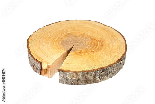 Wood slice with bark isolated on white