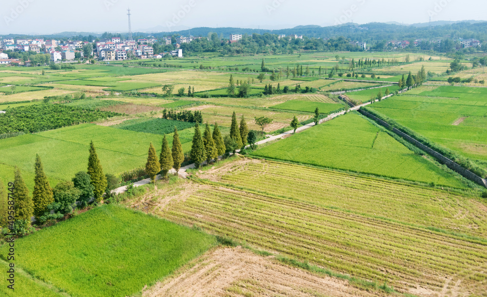 High angle view of green farmland fields