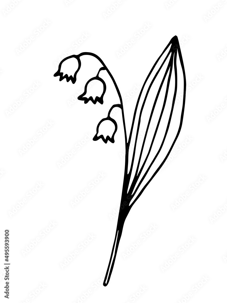Simple hand drawn black outline vector drawing. Spring flower lily of the valley. Sketch in ink. Simple hand drawn black outline vector drawing. Spring flower lily of the valley. Sketch in ink.