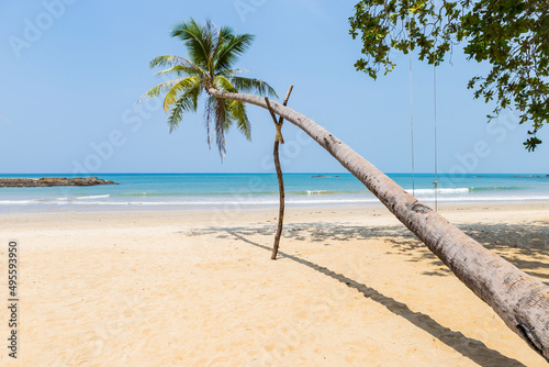 Tropical beach background, coconut tree on sandy beach, tropical island in south of Thailand, summer holiday destination in Asia
