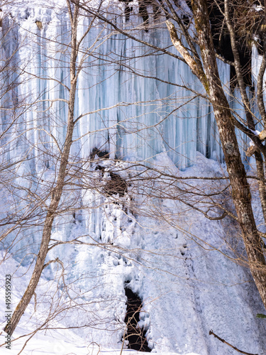 Icefalls seen beyond winter trees (Shiraoi, Hokkaido, Japan) photo
