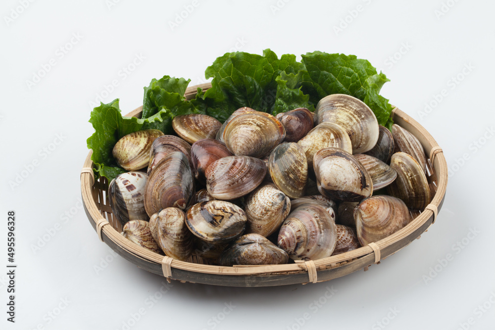 Clams, clams, fish and shellfish, seafood, cooking, food ingredients, bow clams, animals, food, seafood, sea shells, sea shells, semi-locks, ringworms, laundry, animal, sealife, marine life, invertebr Clams, clams, fish and shellfish, seafood, cooking, food ingredients, bow clams, animals, food, seafood, sea shells, sea shells, semi-locks, ringworms, laundry, animal, sealife, marine life, invertebr