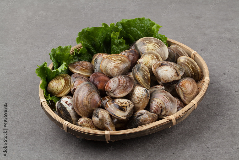 Clams, clams, fish and shellfish, seafood, cooking, food ingredients