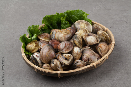 Clams, clams, fish and shellfish, seafood, cooking, food ingredients, bow clams, animals, food, seafood, sea shells, sea shells, semi-locks, ringworms, laundry, animal, sealife, marine life, invertebr photo