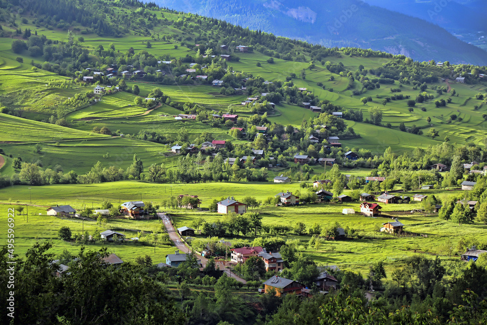 mountains and villages surrounded by green forests.turkey