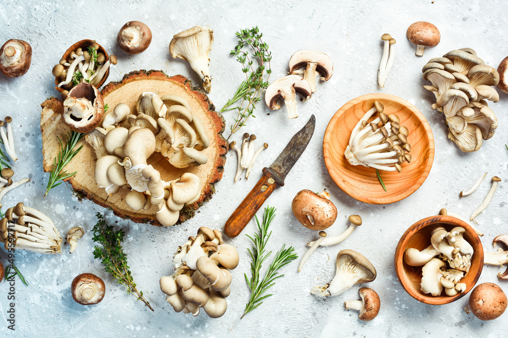 Organic Healthy Mushrooms: Maitake Mushrooms, Brown beech mushroom, and champignons. On a stone background. Organic Healthy Mushrooms: Maitake Mushrooms, Brown beech mushroom, and champignons. On a stone background.