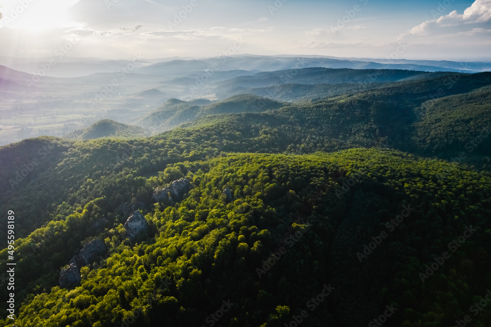 Fototapeta premium Aerial top view forest tree, Rainforest ecosystem and healthy environment concept and background, Texture of green tree forest view from above