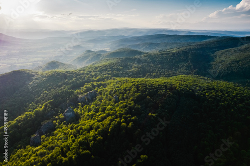Aerial top view forest tree, Rainforest ecosystem and healthy environment concept and background, Texture of green tree forest view from above © olyphotostories