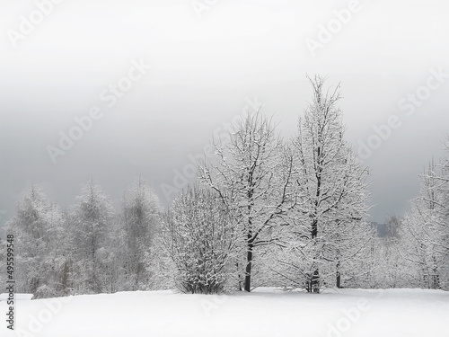 Winter park landscape