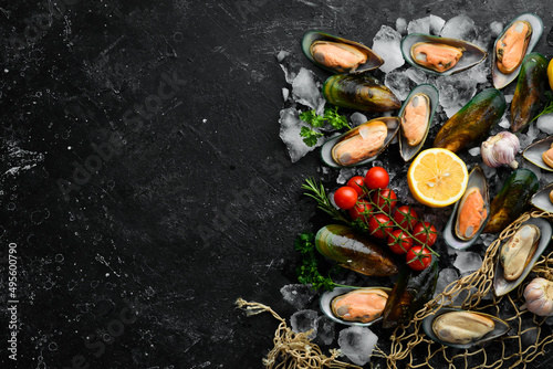 Large green mussels in shells on ice. Seafood. On a black stone background. Top view. Free space for text.