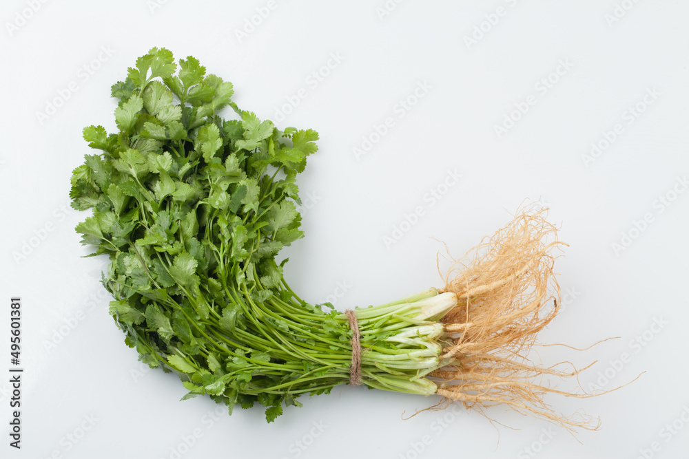 Food ingredients, coriander, Southeast Asian spices, spices, spices, cilantro leaves, Food ingredients, coriander, Southeast Asian spices, spices, spices, cilantro leaves,