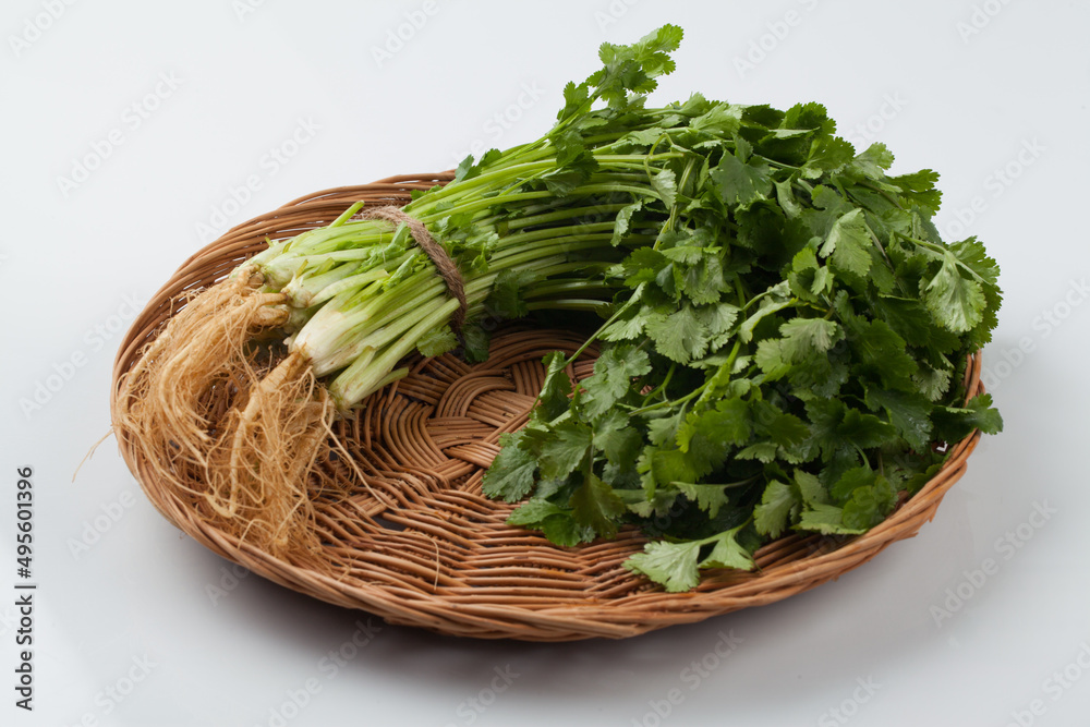 Food ingredients, coriander, Southeast Asian spices, spices, spices, cilantro leaves, Food ingredients, coriander, Southeast Asian spices, spices, spices, cilantro leaves,