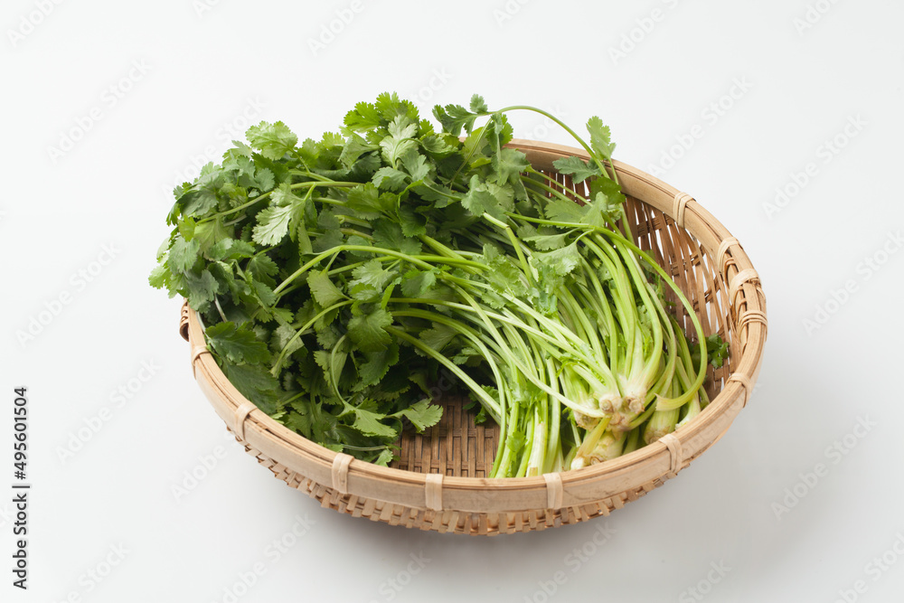 Food ingredients, coriander, Southeast Asian spices, spices, spices, cilantro leaves, Food ingredients, coriander, Southeast Asian spices, spices, spices, cilantro leaves,