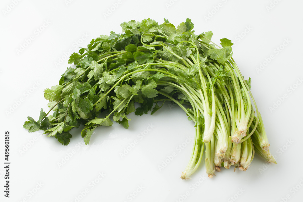 Food ingredients, coriander, Southeast Asian spices, spices, spices, cilantro leaves, Food ingredients, coriander, Southeast Asian spices, spices, spices, cilantro leaves,