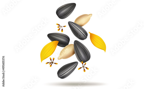 Sunflower Seeds and leaves vector illustration 