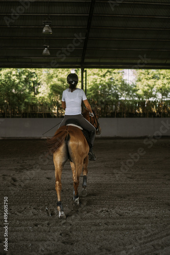 Young woman trains in horseback riding in the arena. A pedigree horse for equestrian sport. The sportswoman on a horse. The horsewoman on a horse. Equestrianism. Horse riding. Rider on a horse.  © Yuliya Kirayonak