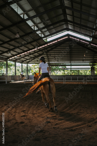 Young woman trains in horseback riding in the arena. A pedigree horse for equestrian sport. The sportswoman on a horse. The horsewoman on a horse. Equestrianism. Horse riding. Rider on a horse. 