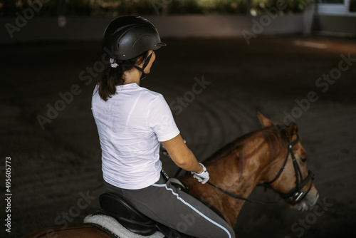 Young woman trains in horseback riding in the arena. A pedigree horse for equestrian sport. The sportswoman on a horse. The horsewoman on a horse. Equestrianism. Horse riding. Rider on a horse. 
