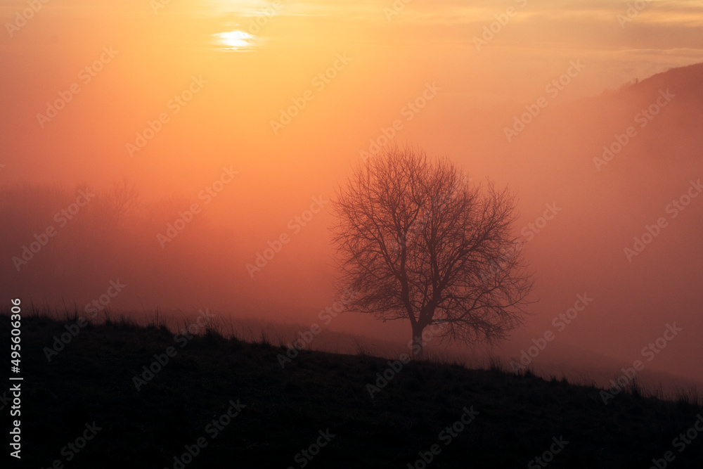 sunset in the mountains with tree silhouette sunset in the mountains with tree silhouette