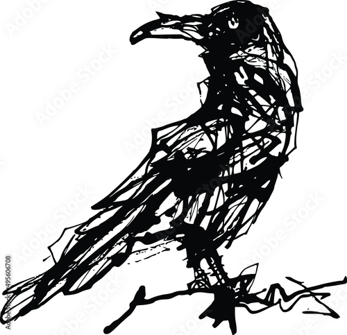 raven bird with closed wings - black and white vector outline