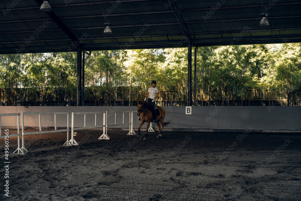 Young woman trains in horseback riding in the arena. A pedigree horse for equestrian sport. The sportswoman on a horse. The horsewoman on a horse. Equestrianism. Horse riding. Rider on a horse.